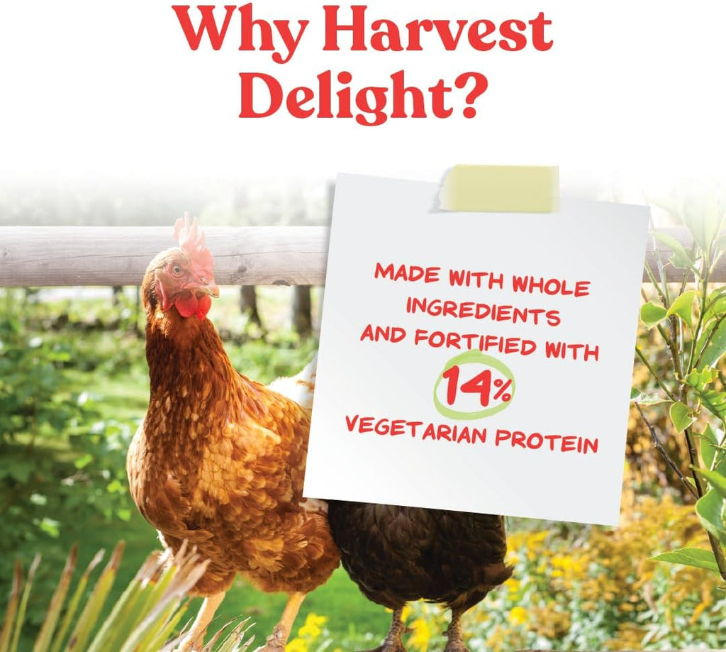 Manna Pro Harvest Delight chicken snack texture close up