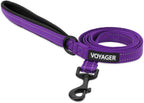 Best Pet Supplies Voyager Reflective Dog Leash or Collar with Neoprene Handle, for Small, Medium, and Large Breed Puppies, Cute and Heavy Duty for Walking, Running and Training - Baby Blue (Leash), S - Image 10
