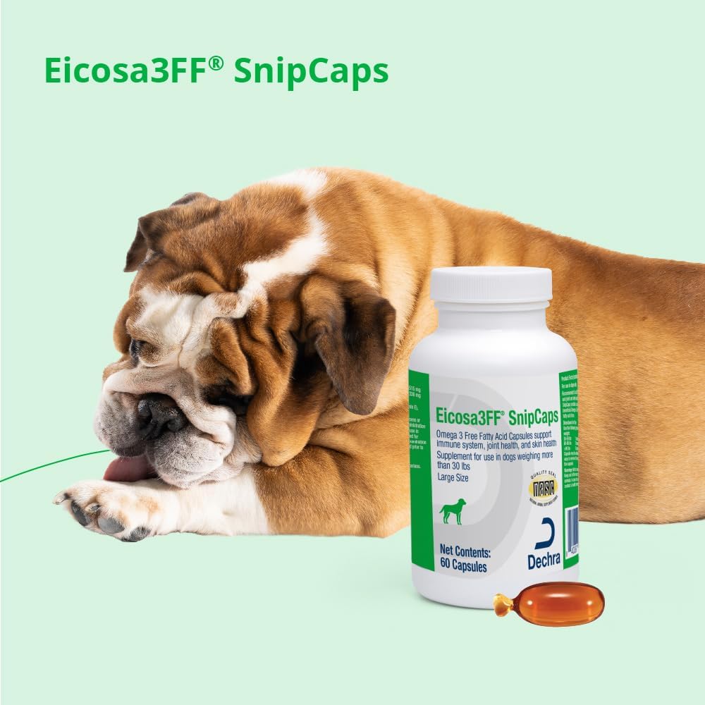 High concentration omega fish oil capsules for canine immune system and mobility support