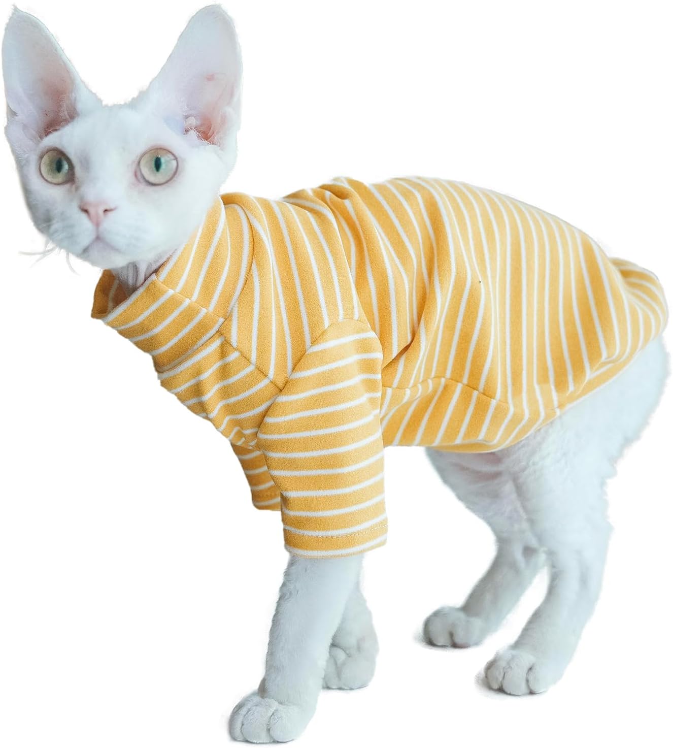 Detailed size guide visual for Kitipcoo Sphynx cat clothes