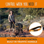 Person running with dog using Mighty Paw waist leash