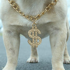 LUVMOJO pet luxury jewelry chain packaging and product detail view