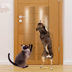 Kebe door scratch protector front view showing clear vinyl guard