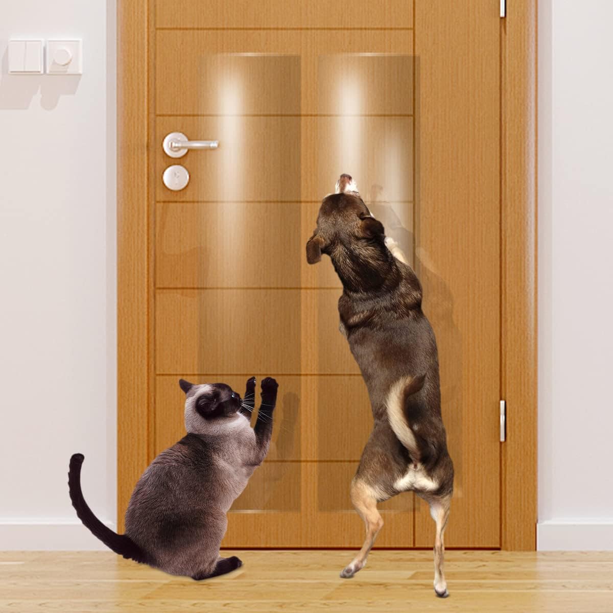 Kebe door scratch protector clear shield roll front view