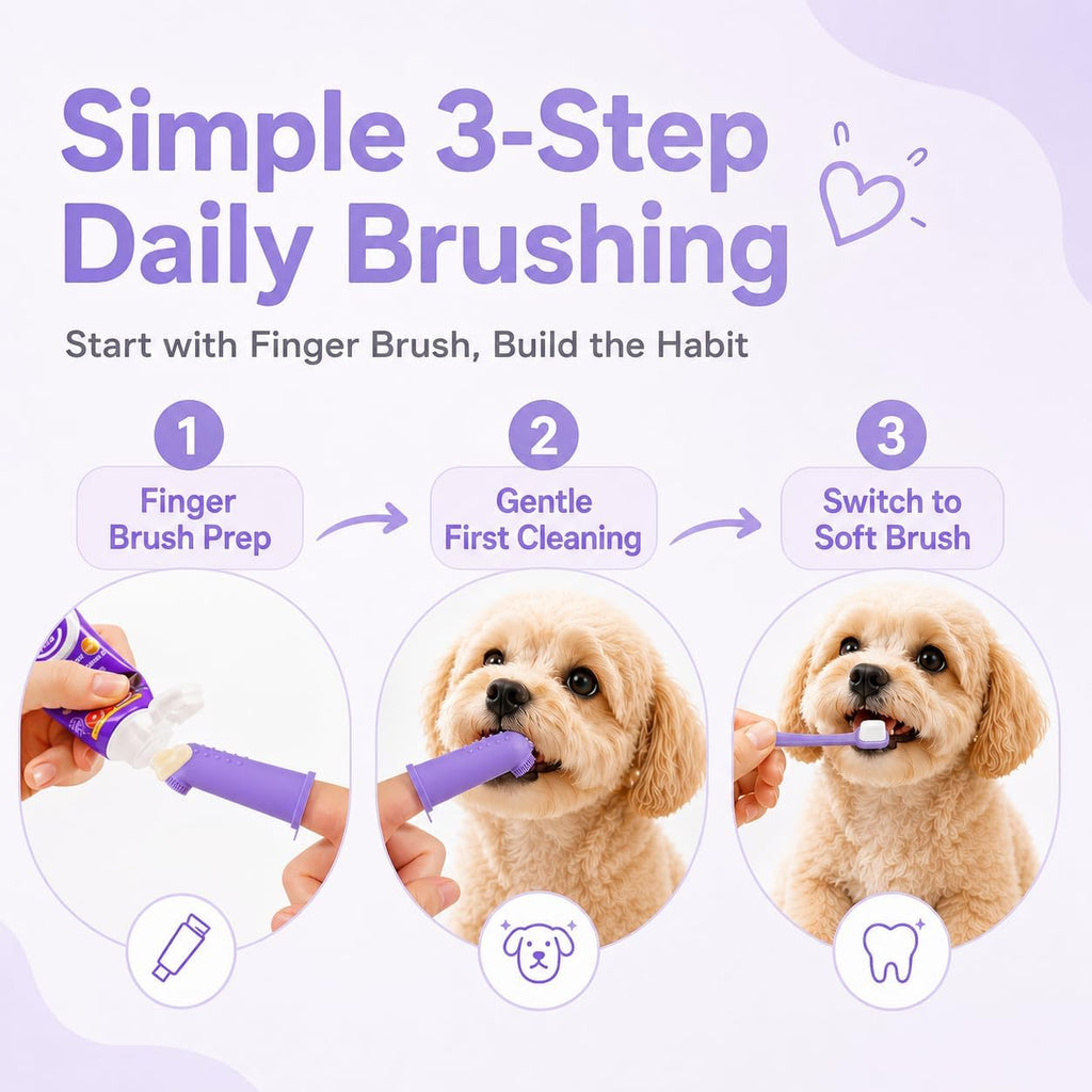 VVHOMIFE dog and cat dental care accessories displayed together demonstrating beginner friendly application