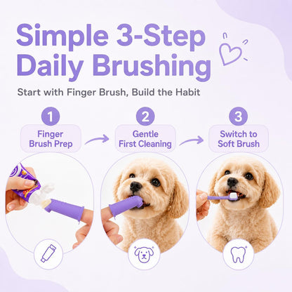 VVHOMIFE dog and cat dental care accessories displayed together demonstrating beginner friendly application