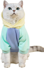 QWINEE pet apparel short sleeve design closeup for chihuahuas