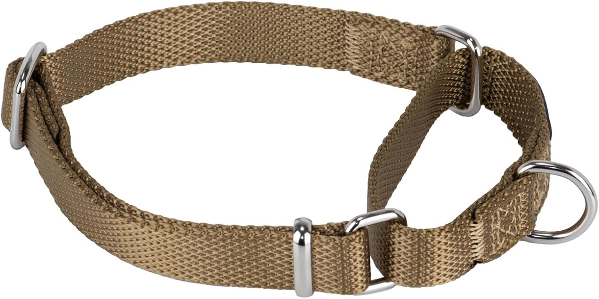 Large size adjustable 1 inch wide green dog collar side layout