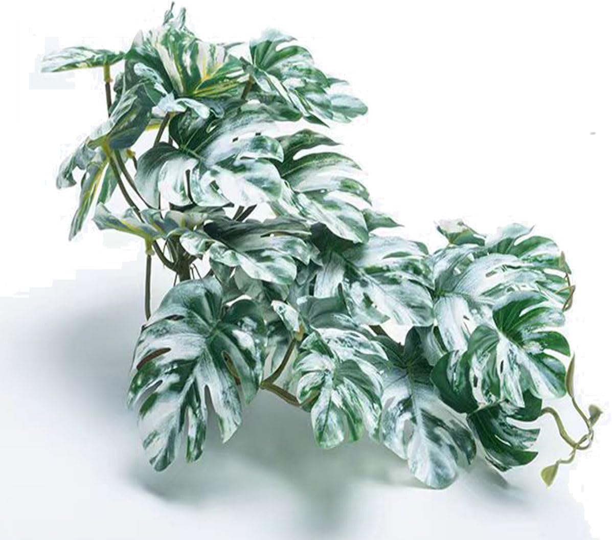 Reptile Terrarium Decor Plants,Amphibian Habitat Decor,Artificial Plants for Tank Accessories (Calathea makoyana -B) - Image 9