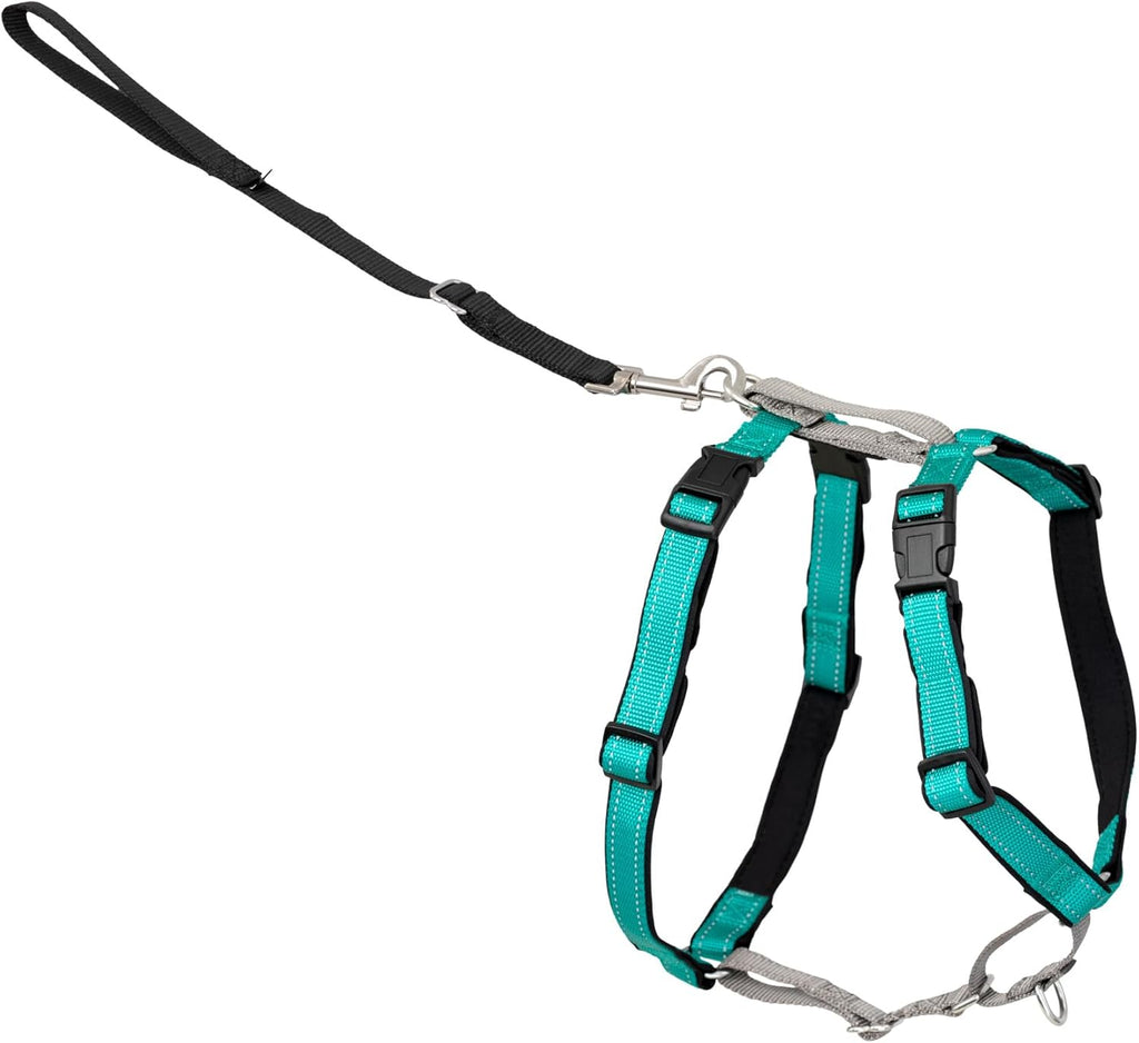 PetSafe 3 in 1 No-Pull Dog Harness for Medium Dogs - Walk, Train or Travel - Helps Pets from Pulling on Walks - Seatbelt Loop Doubles as Quick Access Handle - Reflective- Medium, Black - Image 9