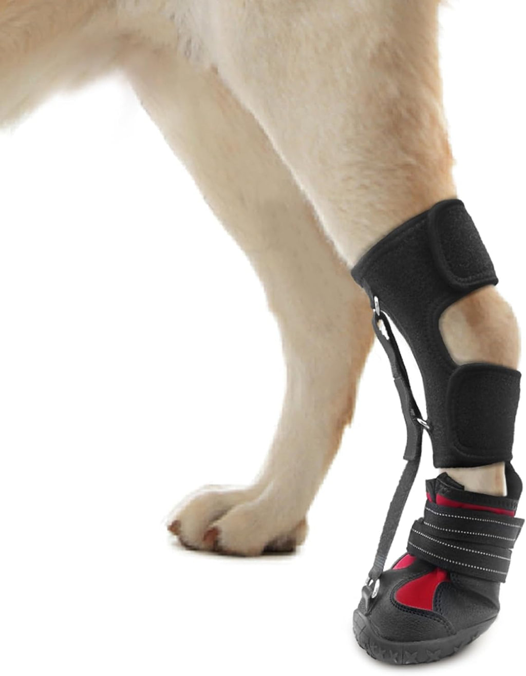 Haggemi strap on dog drop foot brace front view