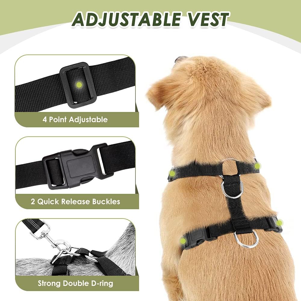 Dog wearing SlowTon breathable mesh car safety vest