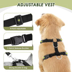 Dog wearing SlowTon breathable mesh car safety vest