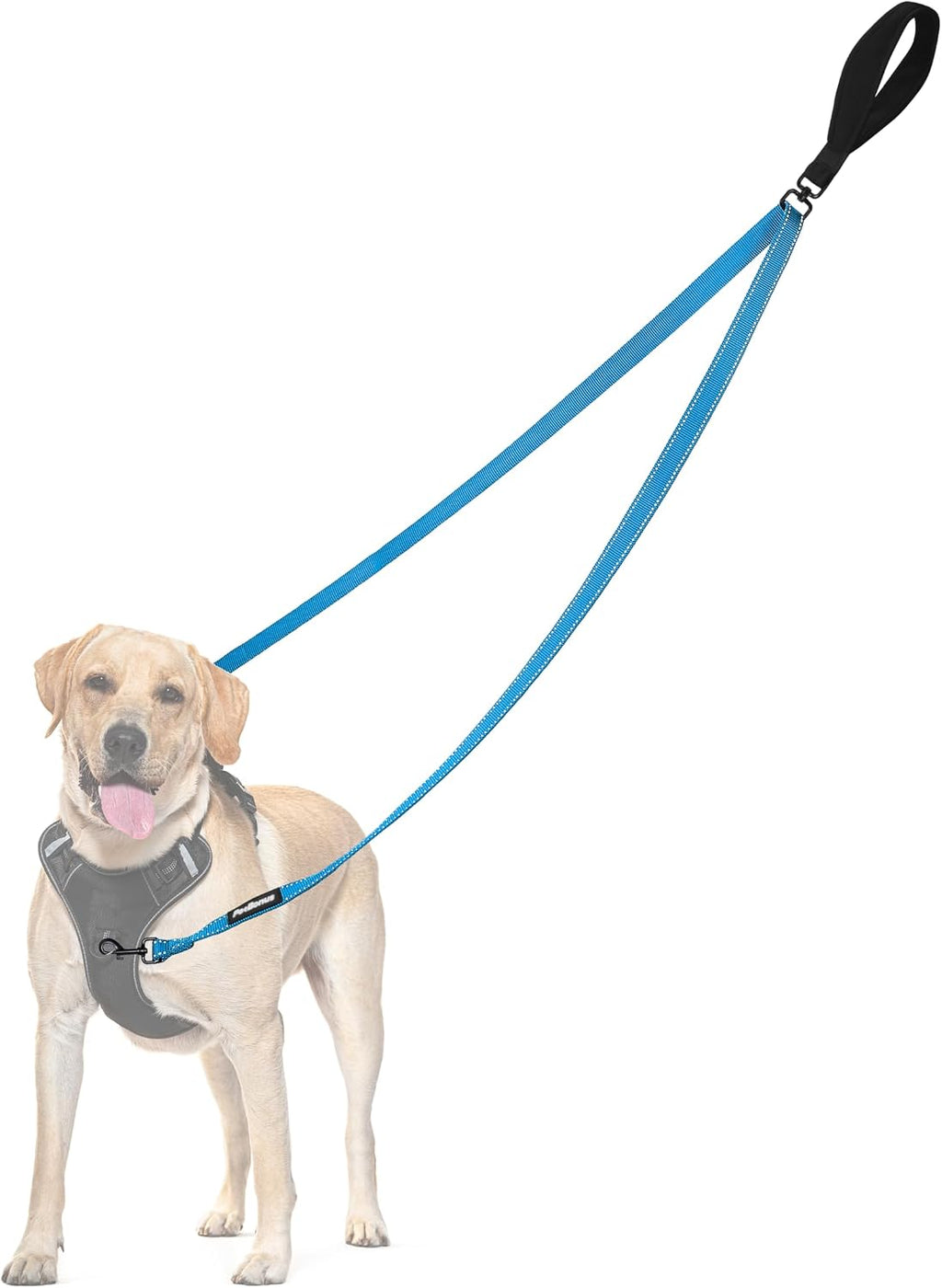 PetBonus Two Point Control Dog Leash, Works with No Pull Harnesses, No Tangle Training Leashes, Soft Padded and Reflective Walking Lead, Converts to Single Lead for Medium Large Dogs (Black) - Image 13
