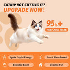 High potency catnip and silvervine mist spray for kitten play training