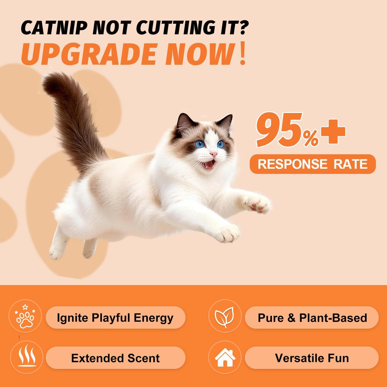 High potency catnip and silvervine mist spray for kitten play training