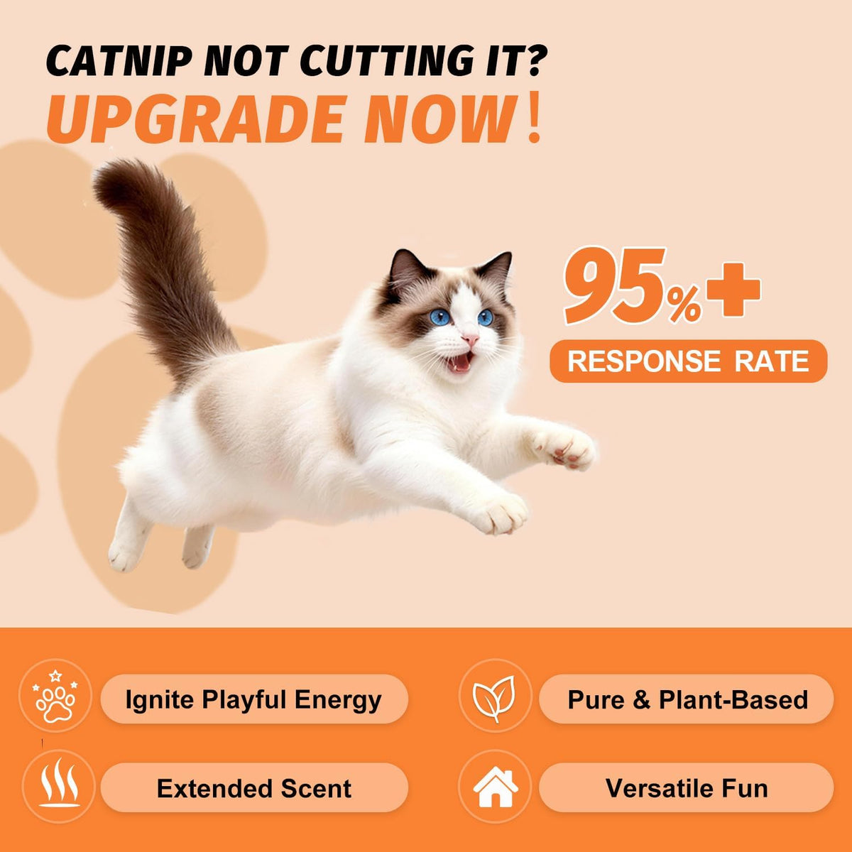 High potency catnip and silvervine mist spray for kitten play training