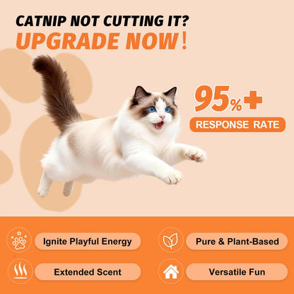 High potency catnip and silvervine mist spray for kitten play training