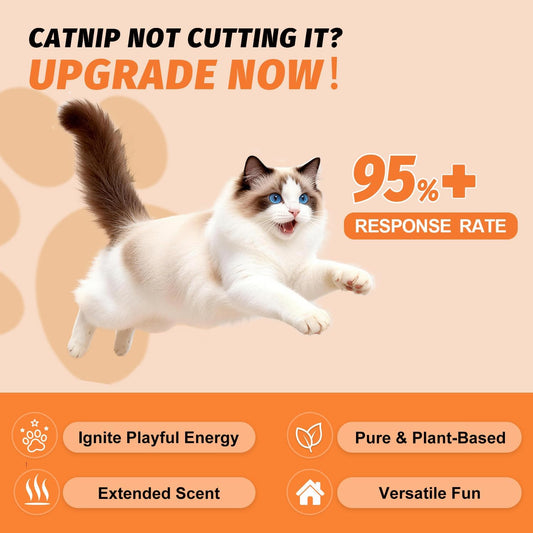 High potency catnip and silvervine mist spray for kitten play training