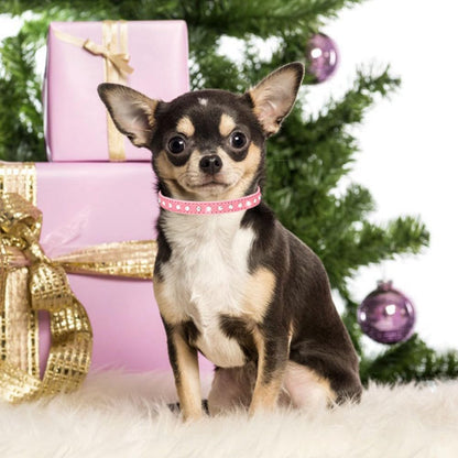 Youalso puppy bling collar showing adjustable metal buckle
