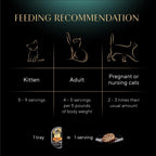 Adult cat enjoying Sheba roasted chicken wet cat food meal