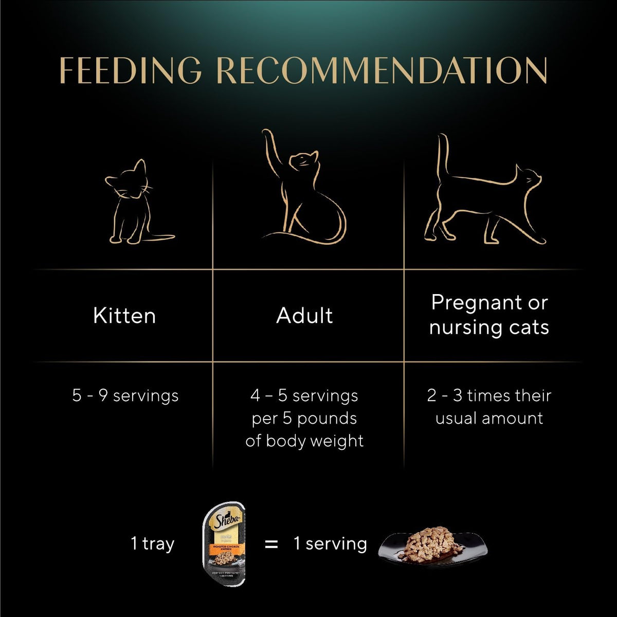 Adult cat enjoying Sheba roasted chicken wet cat food meal