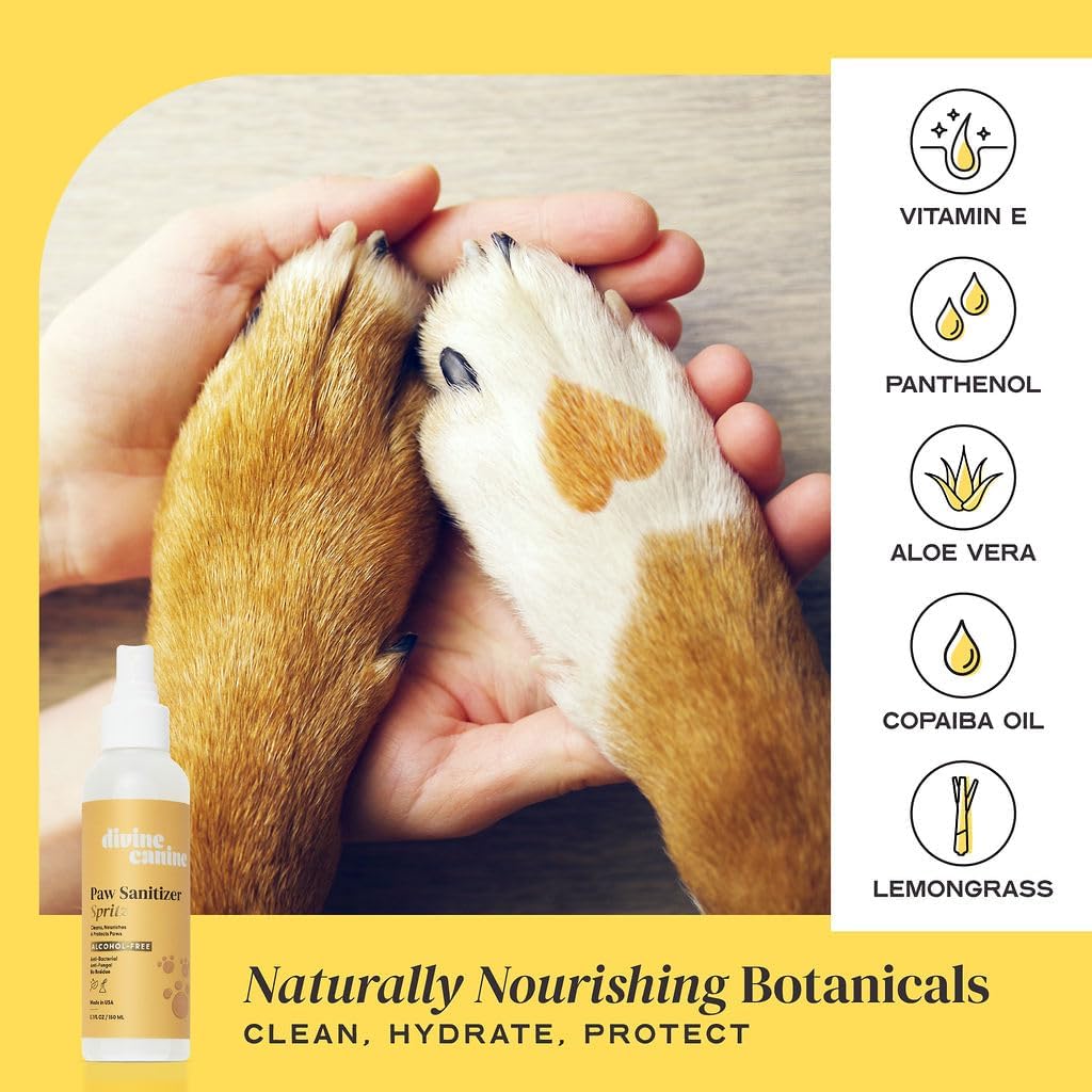 USA-imported Divine Canine paw care solution