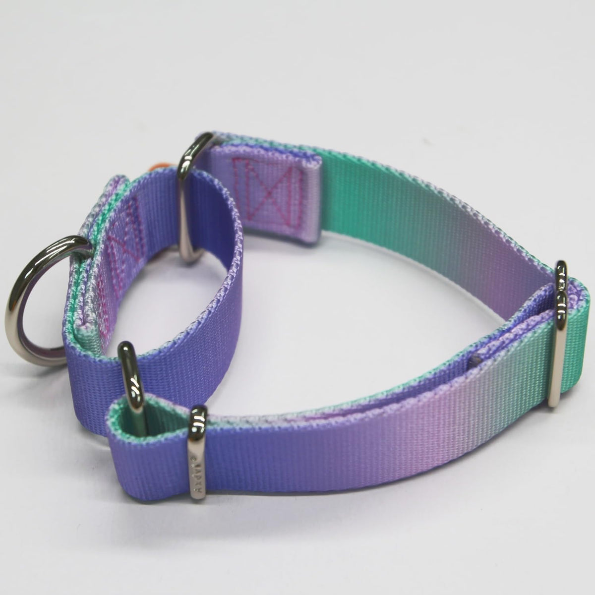 Axdvk colorful ombre adjustable dog collar medium size on display
