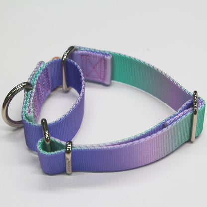 Axdvk colorful ombre adjustable dog collar medium size on display