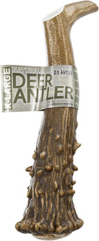 Close up detail of responsibly gathered deer antler surface