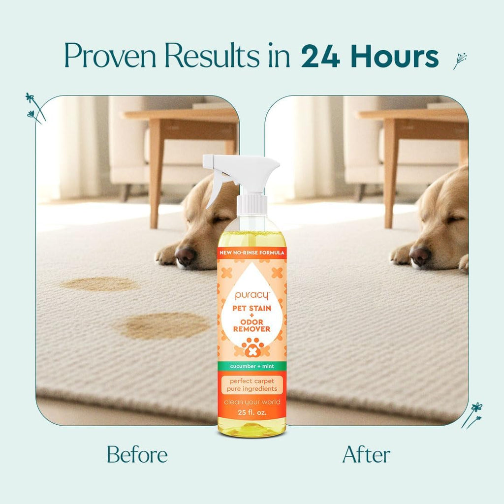 Puracy enzyme cleaner spray bottle for carpets
