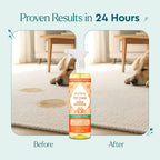 Puracy enzyme cleaner spray bottle for carpets