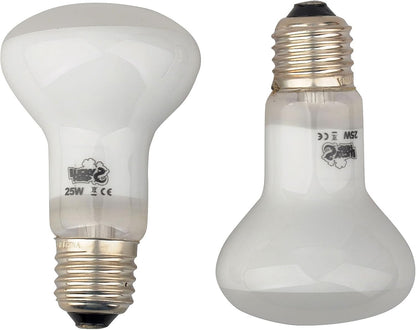 LUCKY HERP 25W daylight spot bulb setup for small terrarium