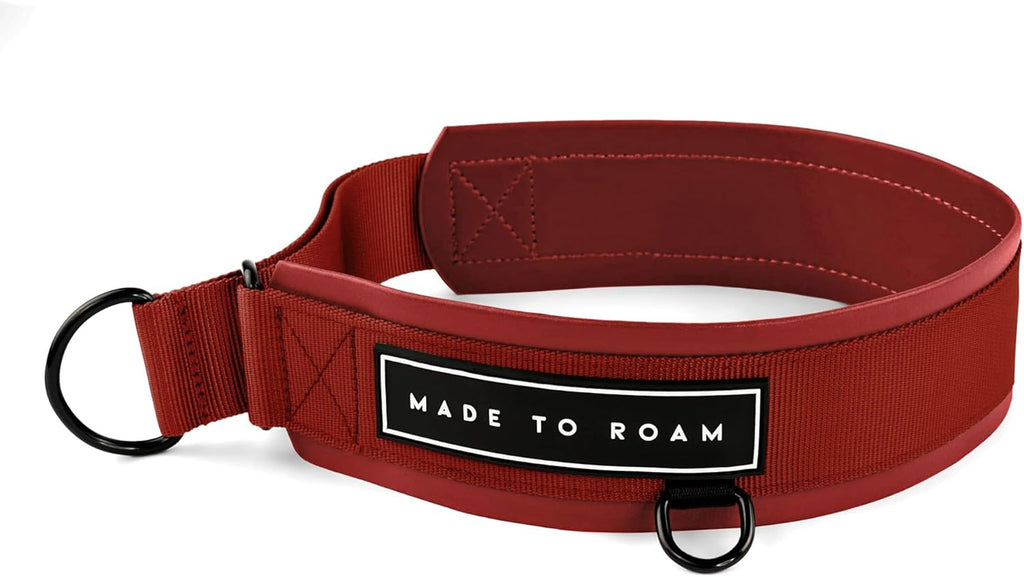 MADE TO ROAM Premium Everyday Dog Collar - Martingale Style No Pull Vegan Leather Collar, Heavy Duty and Lightweight for Small, Medium, Large Dogs (California Horizon, Size 7) - Image 11