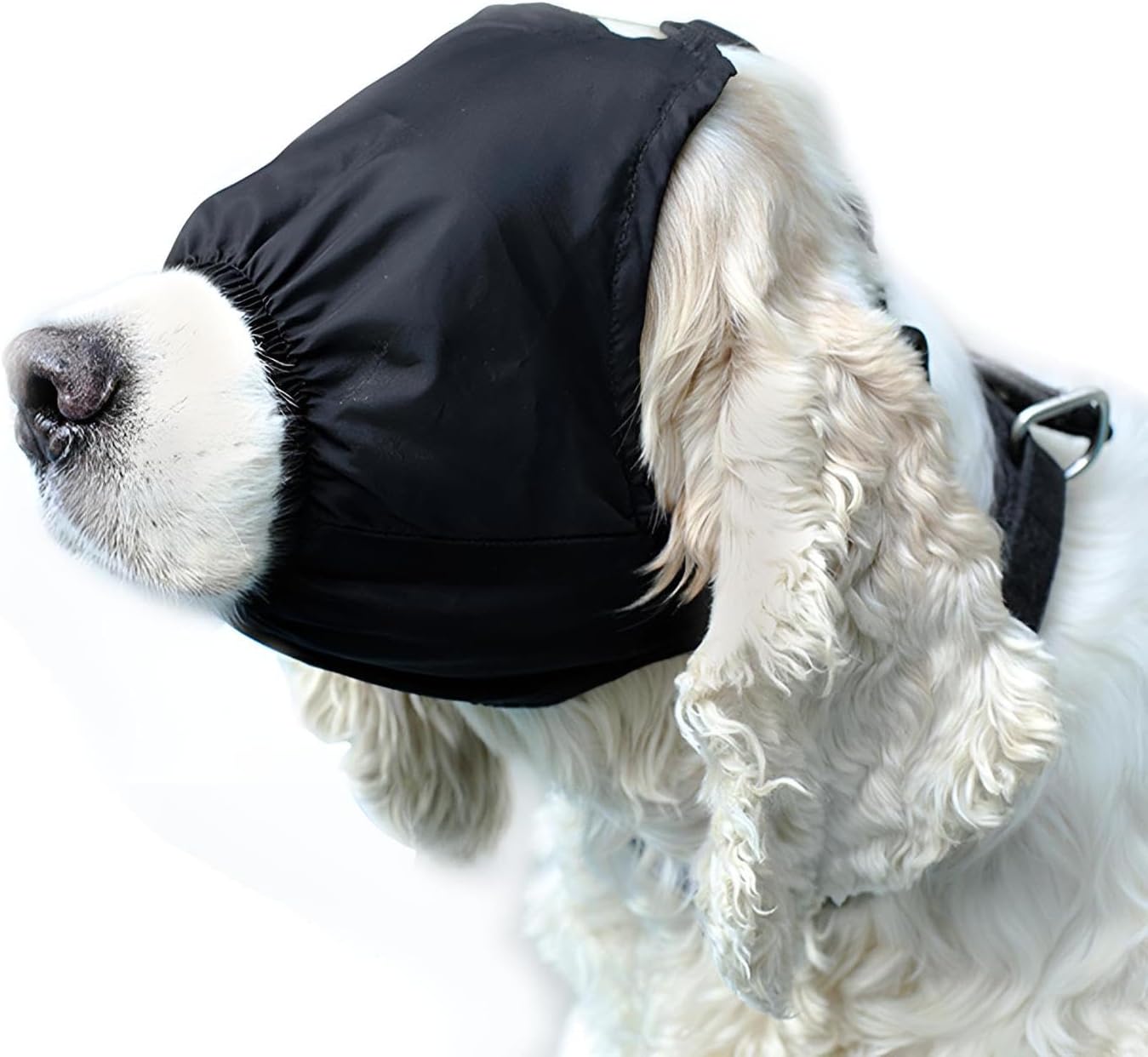 NACOCO Dog Calming Cap front view on small dog reducing anxiety during grooming
