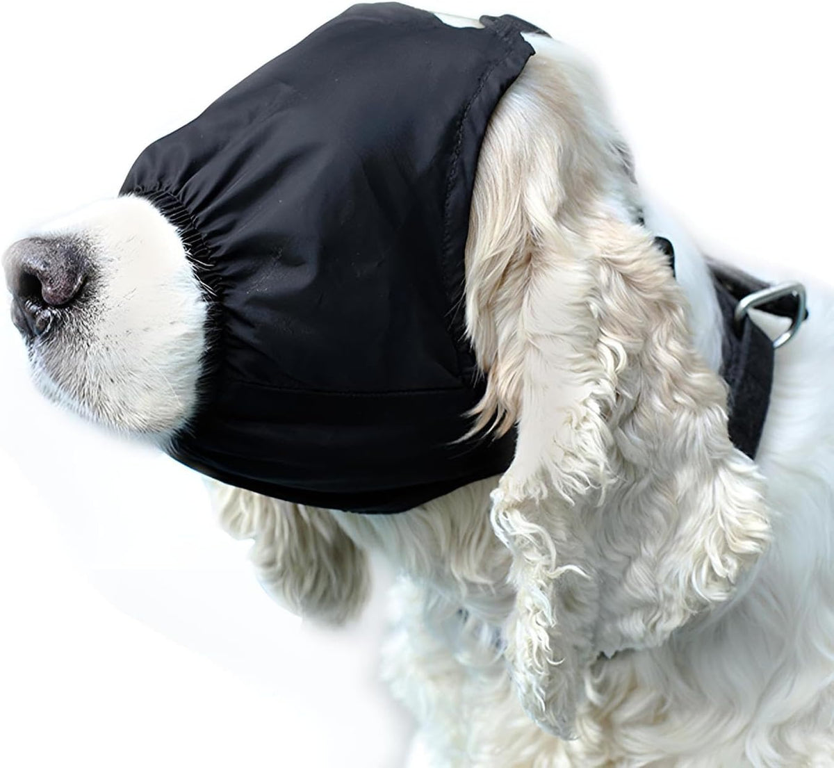 NACOCO Dog Calming Cap front view on small dog reducing anxiety during grooming