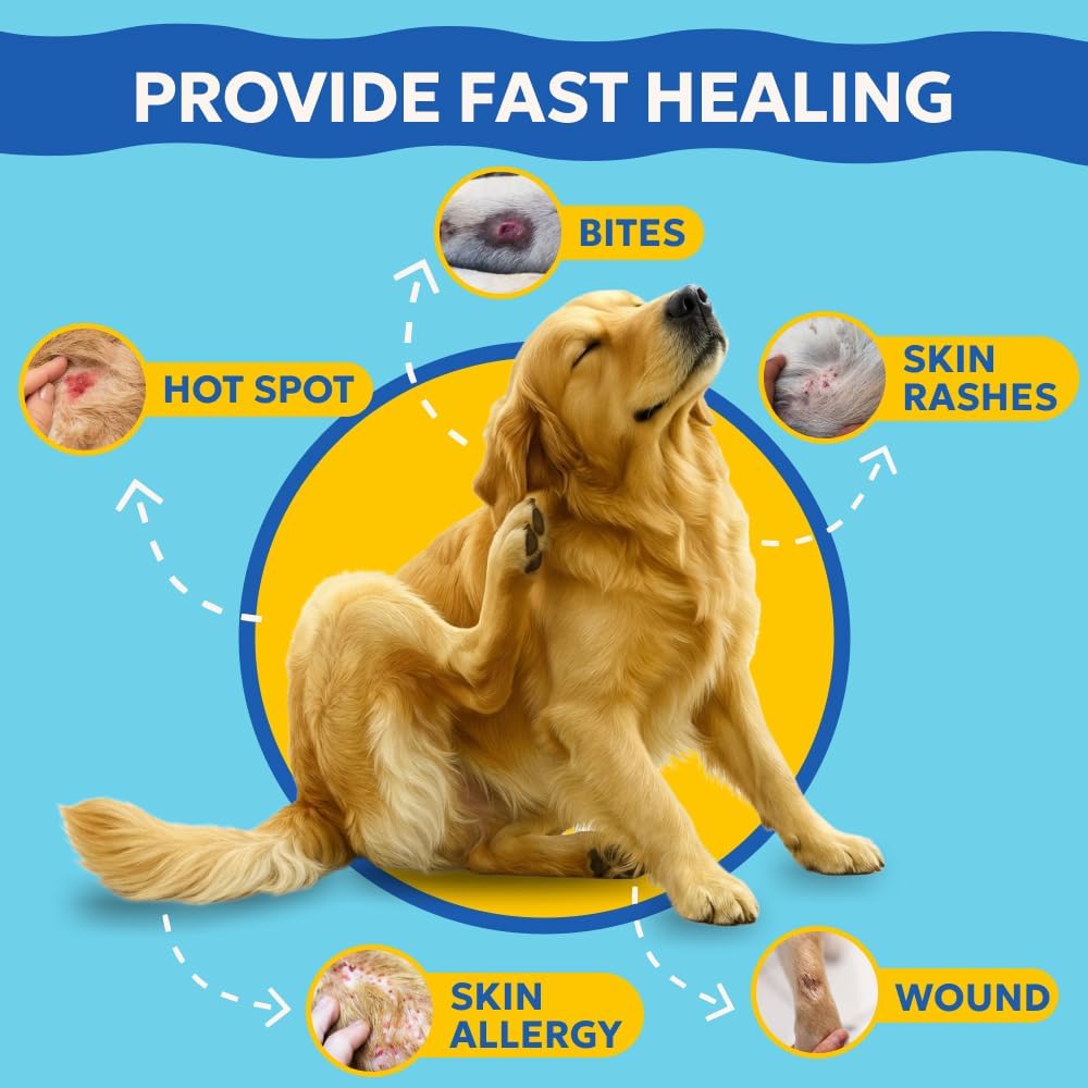 Forticept Blue Butter soothing pet cream application on dog skin irritation