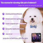Purple Dragon pet grooming scissors in storage case