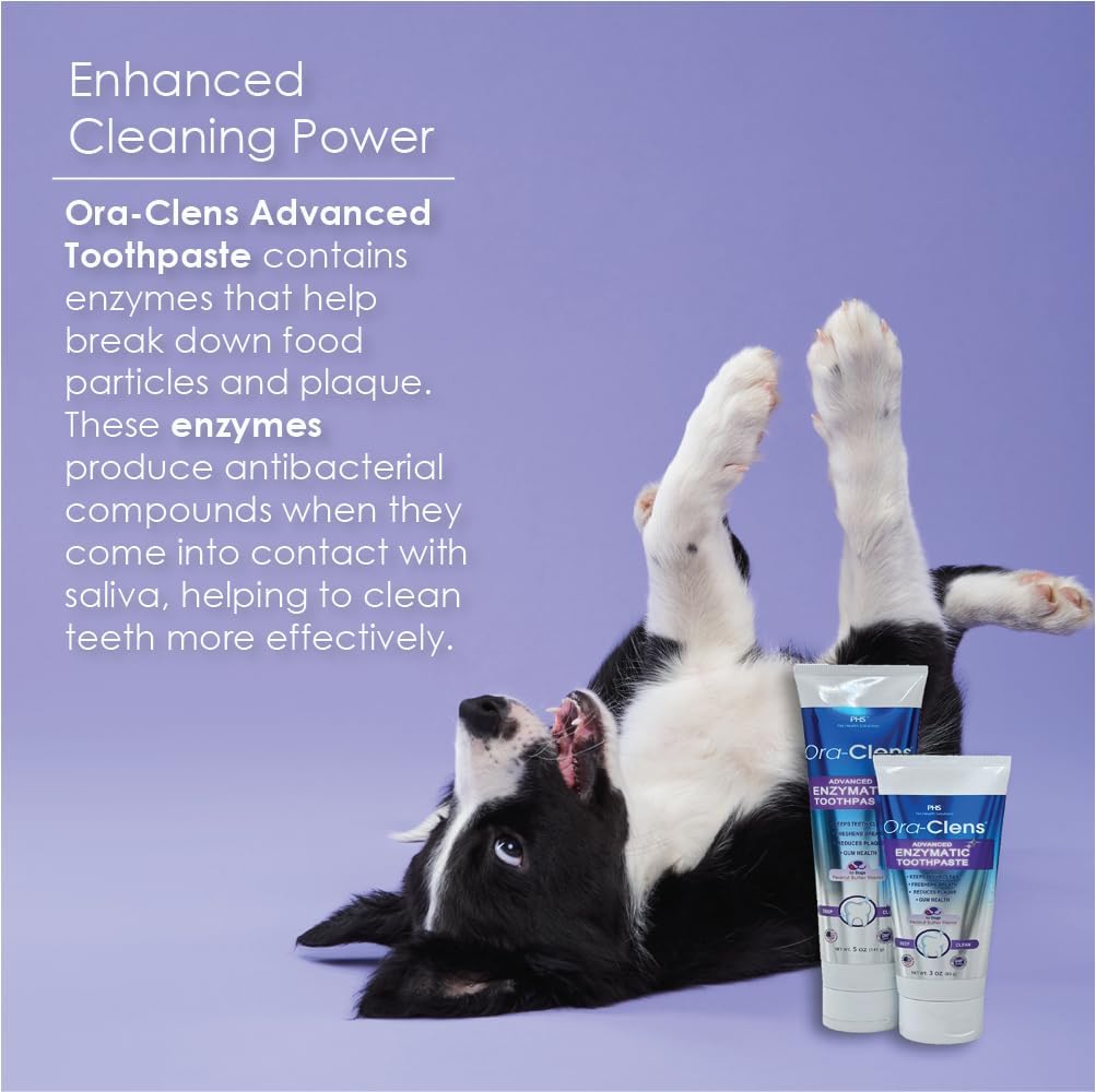 Application of Ora-Clens toothpaste on a dog toothbrush