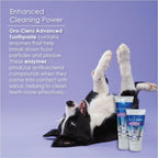 Application of Ora-Clens toothpaste on a dog toothbrush