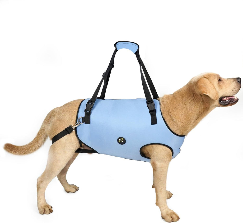 Owner using Coodeo lift harness to assist dog up stairs
