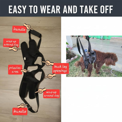 Bardimies dog lift harness being used to assist a dog on stairs