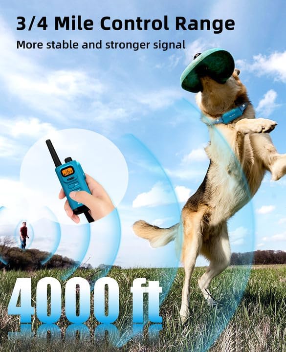 Bousnic 4000FT range handheld training remote