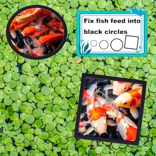 OIIKI fish tank feeding ring corralling duckweed and floating plants in a freshwater aquarium.