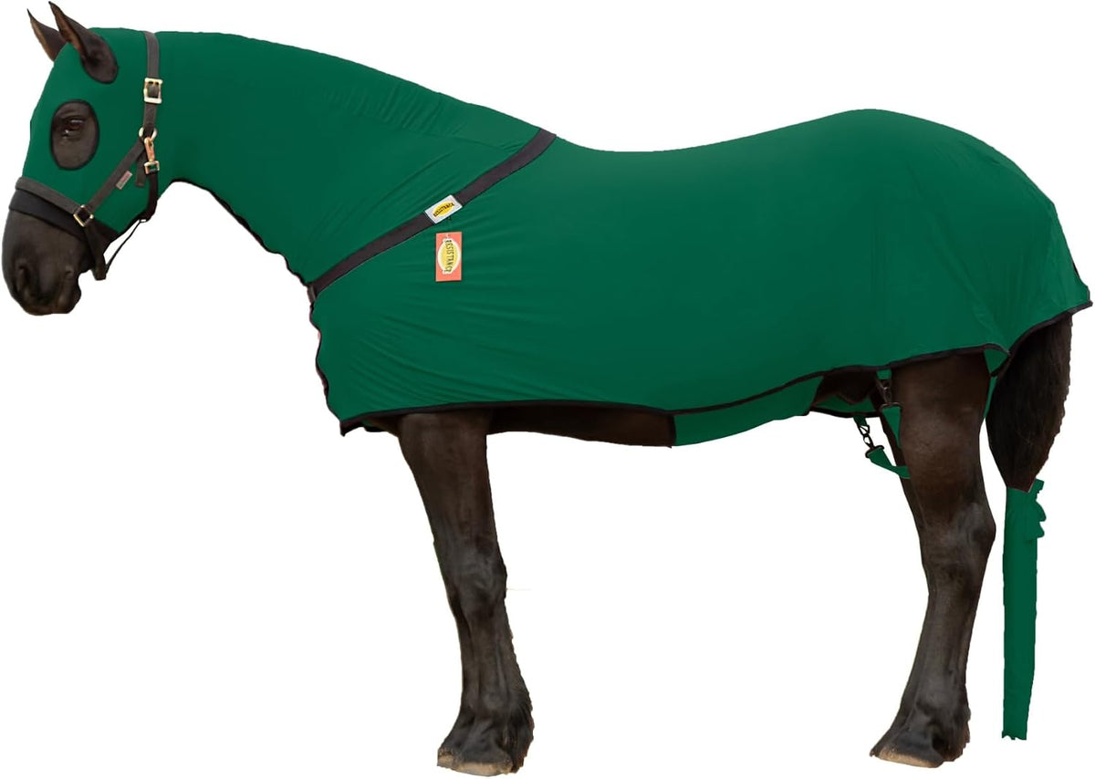 Resistance premium imported horse clothing underbelly view