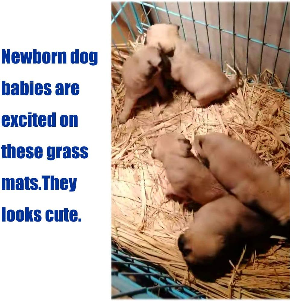 Hamiledyi multi-pack natural grass mats for hamsters
