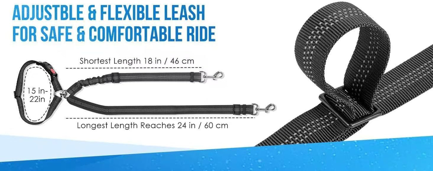 Lifestyle shot of pets using Tinkber safety leash