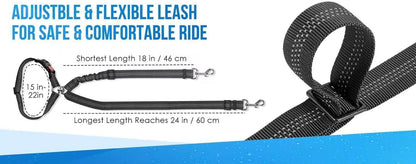 Lifestyle shot of pets using Tinkber safety leash