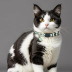 Giecooh dinosaur patterned adjustable cat collar with removable charm and bell