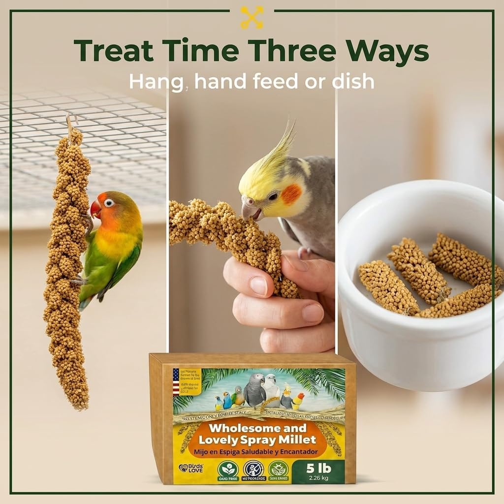 Birds LOVE whole 5 lb bulk millet box packaging angle